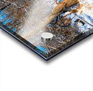 Oh Deer  Acrylic print