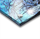 Frozen Limbs 3 Acrylic print