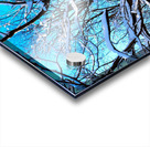 Frozen Limbs 3B Acrylic print