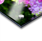 Tulips Are Better Than One 3 Impression Acrylique