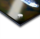 An American Koi Story Impression Acrylique