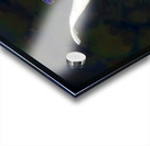 Some Very Coy Koi Impression Acrylique