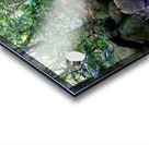 Hiking Hawaii Water Flow B Impression Acrylique