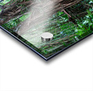 Welcome to the Jungle  Acrylic print