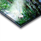 Hiking Hawaii Water Flow Acrylic print