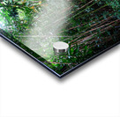 Hiking Hawaii Acrylic print