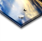 Flying Over the Edgewater Acrylic print