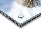 Standing Guard Acrylic print