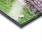 Barbed Stone Wall Acrylic print