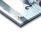 Wings of Love Pair 1B Acrylic print