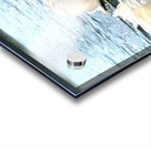 Wings of Love Pair 1A Impression Acrylique