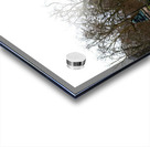 Horsehead Sculpture 3 Acrylic print