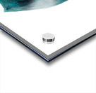 Horsehead Sculpture 2B Acrylic print