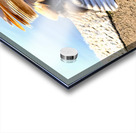 No Selfies Please  Acrylic print