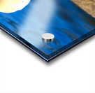 Swan Face 3 Impression Acrylique