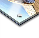 Duck Pose Impression Acrylique