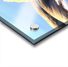 Duck Face 1B Acrylic print