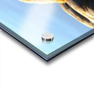 Duck Face Acrylic print