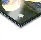 Evil Eye Swan Impression Acrylique