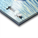 Behind Wings of Love Acrylic print