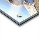 Graceful Pause Impression Acrylique