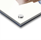 Mari Evans Mural Acrylic print