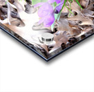 Spring Awakening Acrylic print