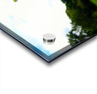  Offering of the Wild Acrylic print