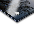 Golden Michigan Sunrise Acrylic print