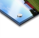 Raising Sunshine Sunflower Farm Acrylic print