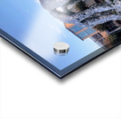 Interlocked Giants Acrylic print