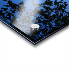 Man Meets Nature in the Sky  Acrylic print