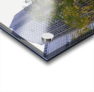 Hello New York  Acrylic print