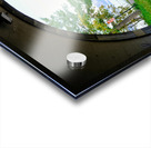 Tranquil Passage Acrylic print