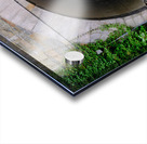 Vaulted Passage Acrylic print