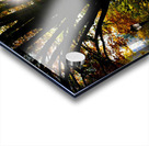 Shades of Autumn Acrylic print