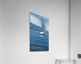 The Silent Hunt: A Lone Heron in Blue Acrylic Print