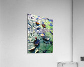 Lotus Lily Love: Promise of the Bloom Acrylic Print