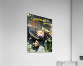 Sun-Kissed Petals: A Lilys Morning Acrylic Print