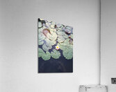 Blooms of Joy: Centered Among Giants Acrylic Print