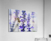 Lavender Towers and the Bee Impression acrylique