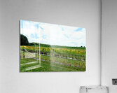 The Silent Pulse of Cultivation Acrylic Print