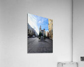 Sentinel of Solitude Acrylic Print