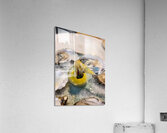 Shellshed Ritual Acrylic Print