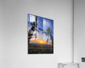 Golden Drift Between Palms Acrylic Print