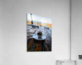 Oracles in a Bowl Beneath the Quiet Sky Acrylic Print