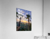 Tropic Stillness Above the Noise Acrylic Print