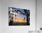 Between Palms and Possibility Acrylic Print