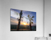 Palms Over the Skyline Acrylic Print