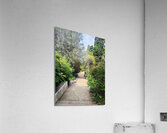 The Pause in the Path Acrylic Print